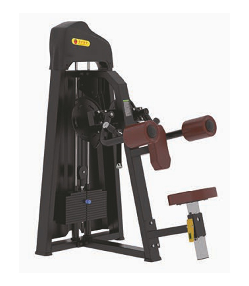 lateral_raise_1.jpg image