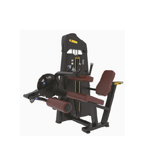 leg_curl_leg_extension_1.jpg image
