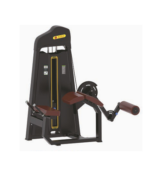 leg_curl_prone_1.jpg image