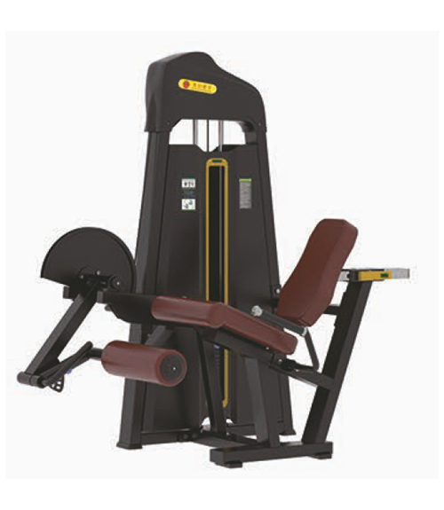 seated_leg_extension.jpg